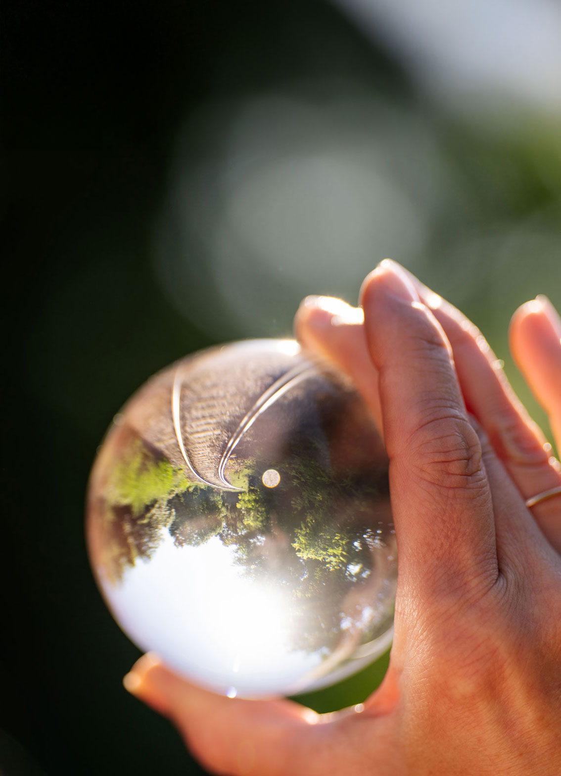 Juliane Scheller Coaching und Hypnose in Dresden Radebeul Kugel